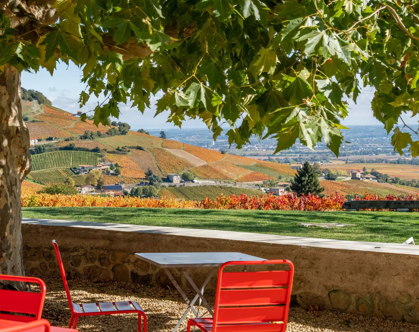 La terrasse ombragée avec vue sur les vignes du Beaujolais